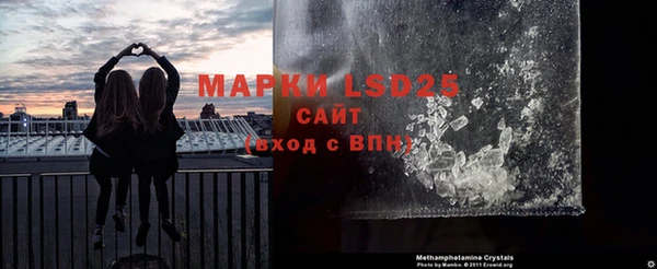 прущие грибы Кулебаки