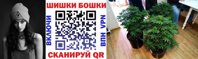 Бошки Шишки марихуана Пролетарск